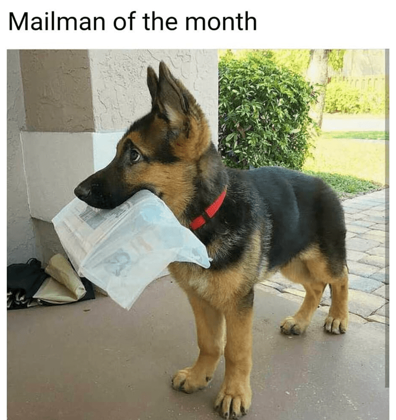 mailman-month