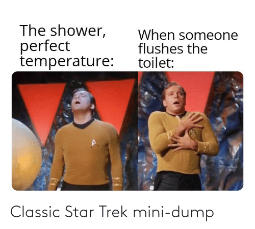 classic-star-trek-mini-dump-72566964.png