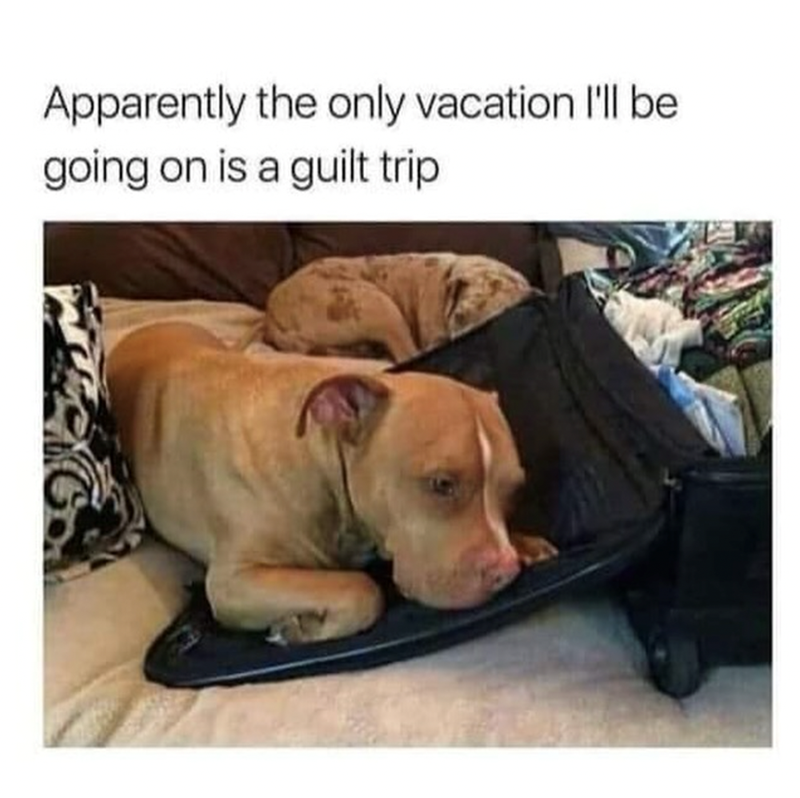 apparently-only-vacation-be-going-on-is-guilt-trip