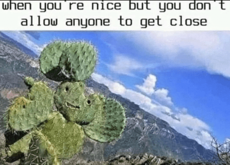 nice-but-dont-allow-anyone-get-close