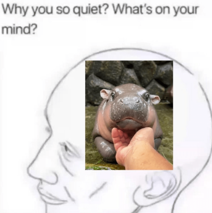 why-so-quiet-s-on-mind