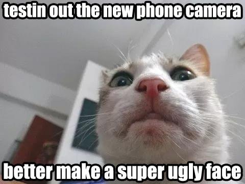 05-reddit.comrlolcats.jpg
