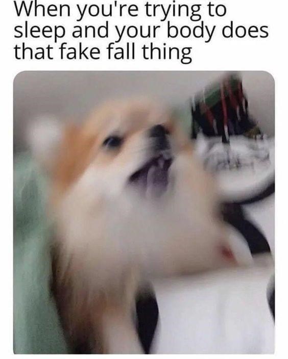 trying-sleep-and-body-does-fake-fall-thing