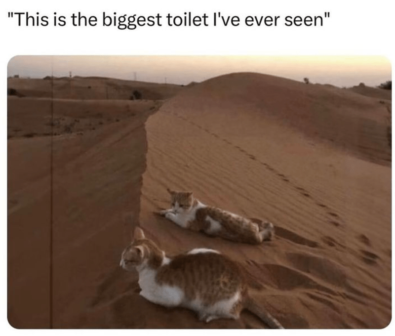 this-is-biggest-toilet-ever-seen