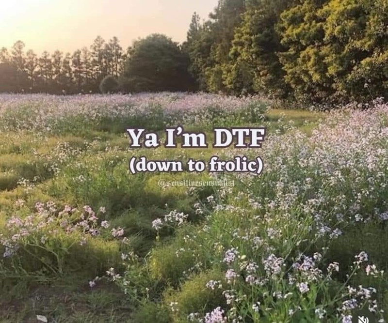 ya-dtf-down-frolic-sensitivesensualist-f