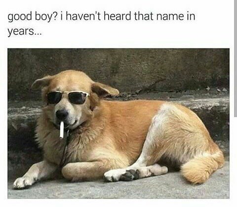 good-boy-havent-heard-name-years