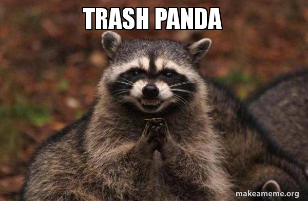 trash-panda-oax62e.jpg