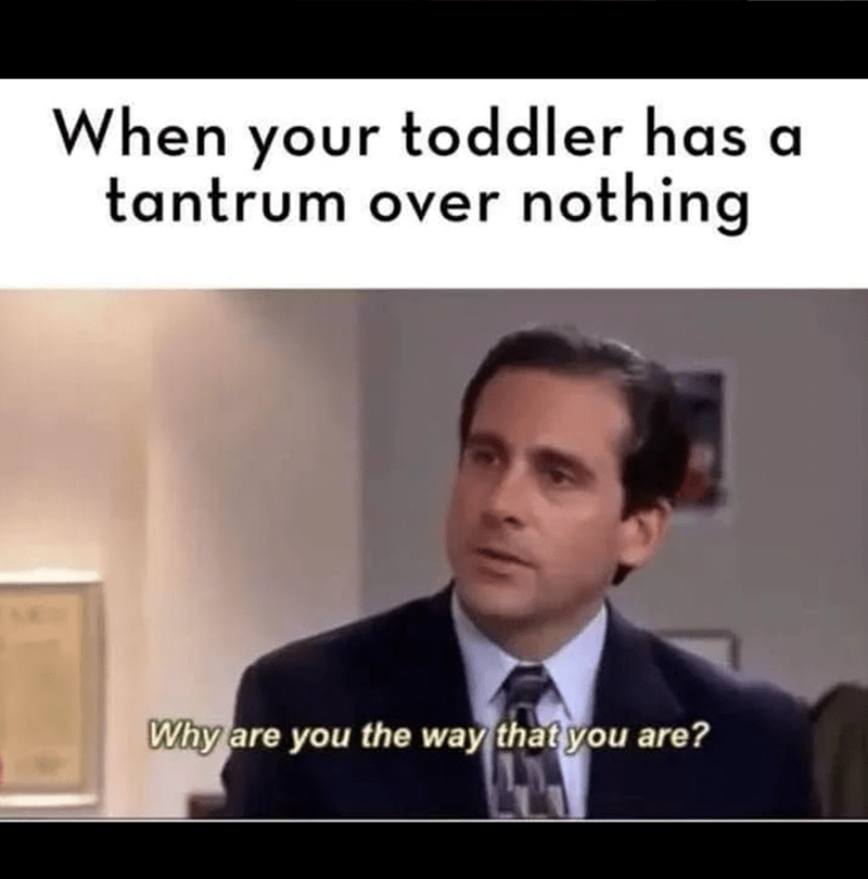 toddler-has-tantrum-over-nothing-why-are-way-are