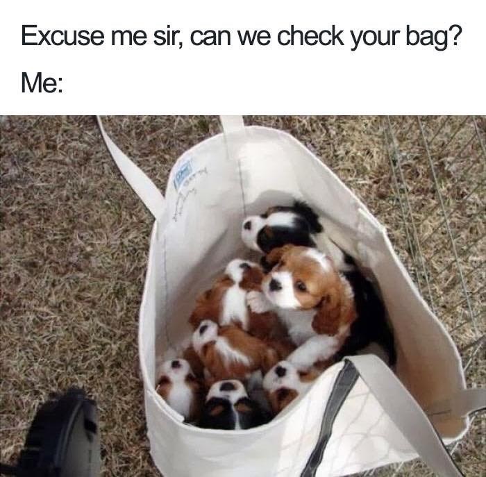 excuse-sir-can-check-bag