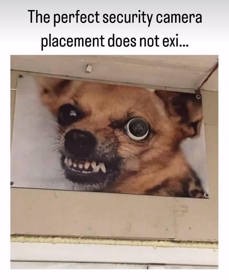 perfect-security-camera-placement-does-not-exi-s