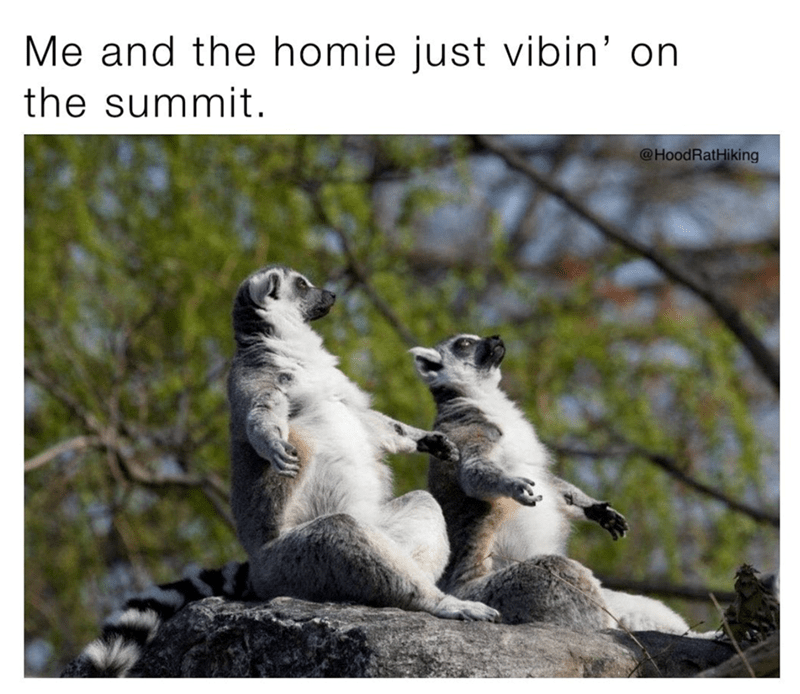 and-homie-just-vibin-on-summit-hoodrathiking
