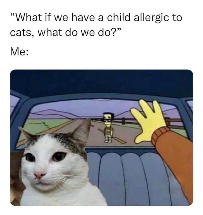 if-have-child-allergic-cats-do-do