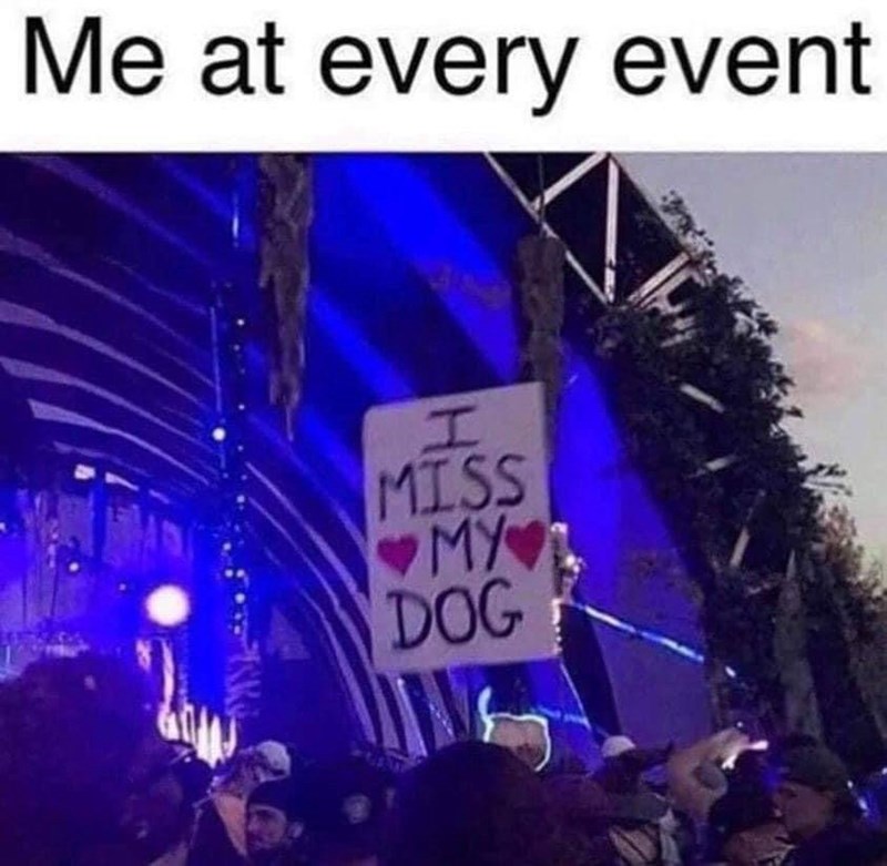 at-every-event-h-miss-my-dog
