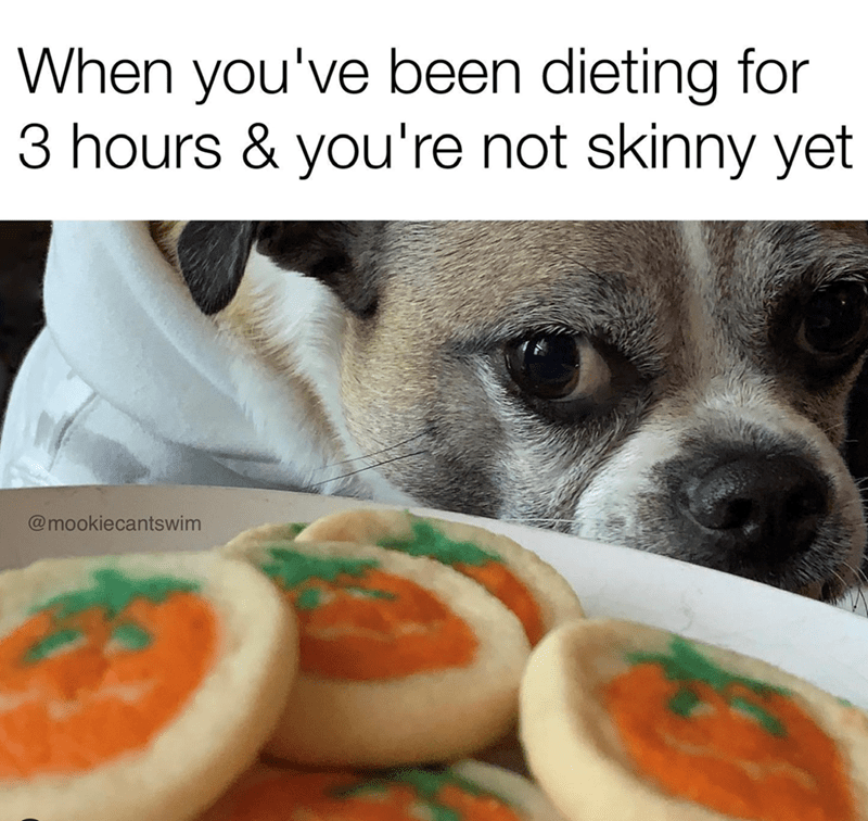 been-dieting-3-hours-not-skinny-yet-mookiecantswim