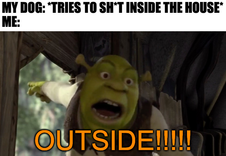 shrek-meme-idlememe-5.jpg