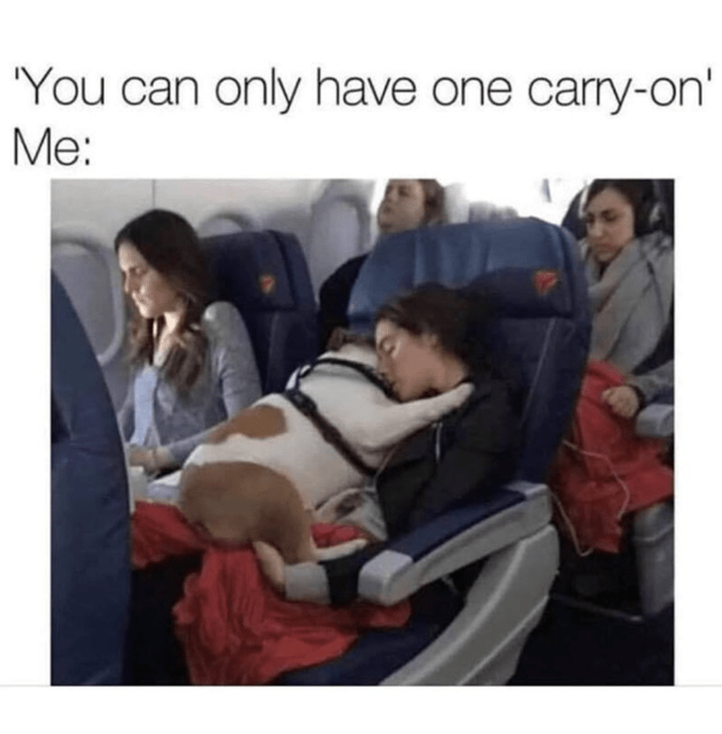 can-only-have-one-carry-or