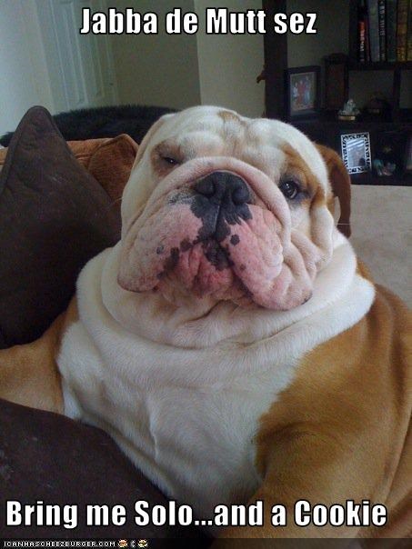 jabba-de-mutt-sez-bring-me-soloand-a-cookie