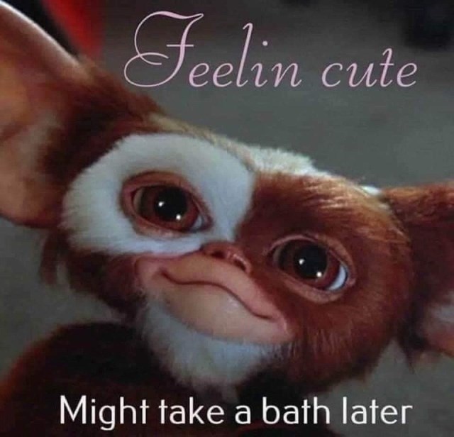 feelin-cute-might-take-bath-later