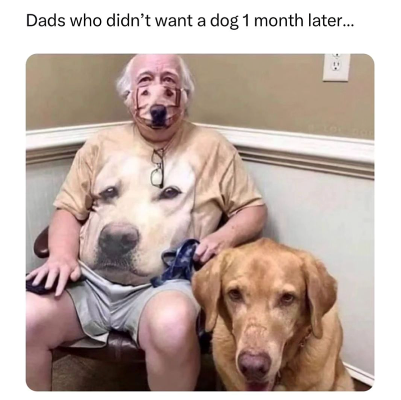 dads-who-didnt-want-dog-1-month-later