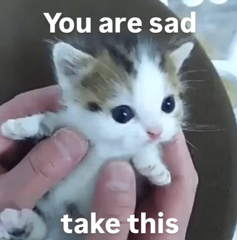 are-sad-take-this