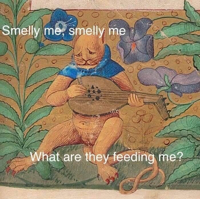 smelly-smelly-are-they-feeding