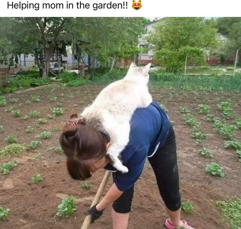 helping-mom-garden