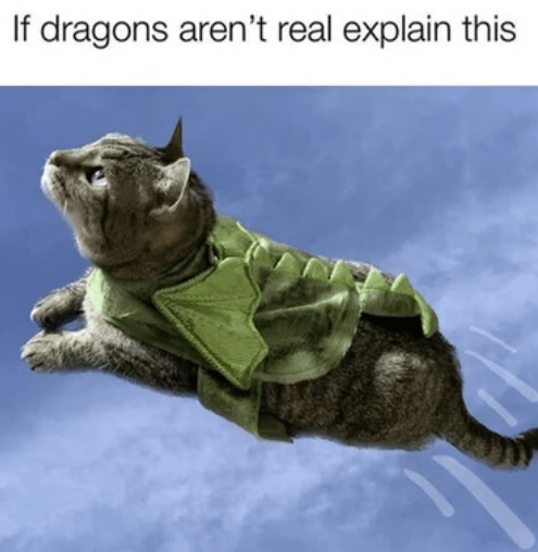 if-dragons-arent-real-explain-this