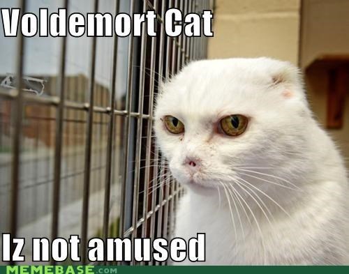 voldemort-kitteh