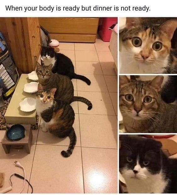 body-is-ready-but-dinner-is-not-ready