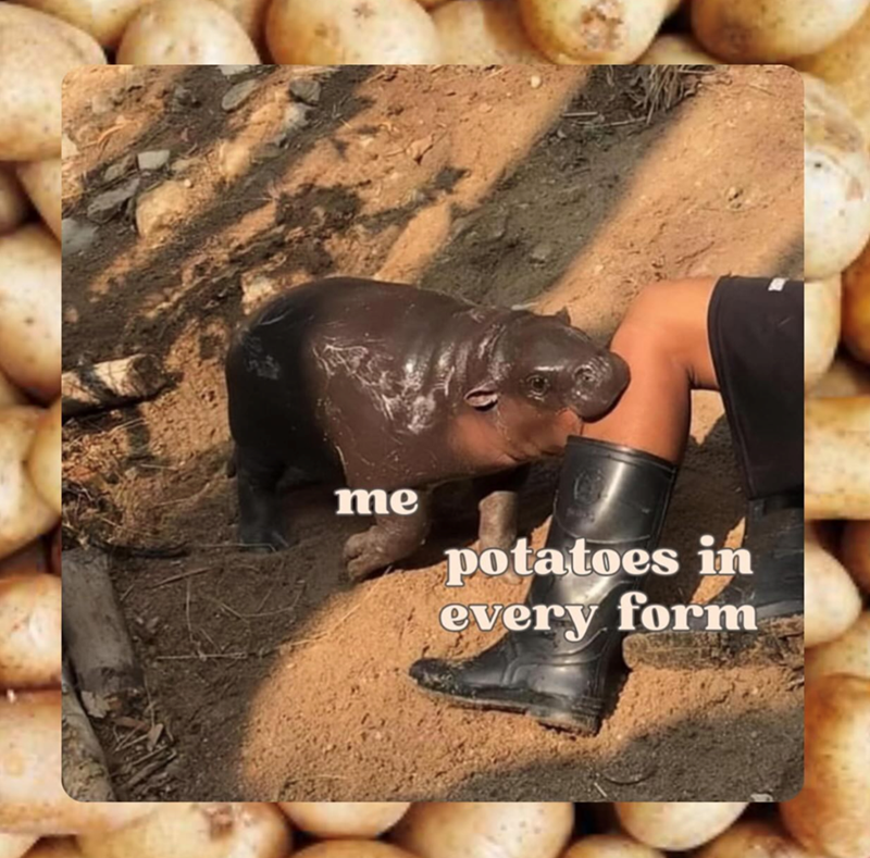 potatoes-every-form