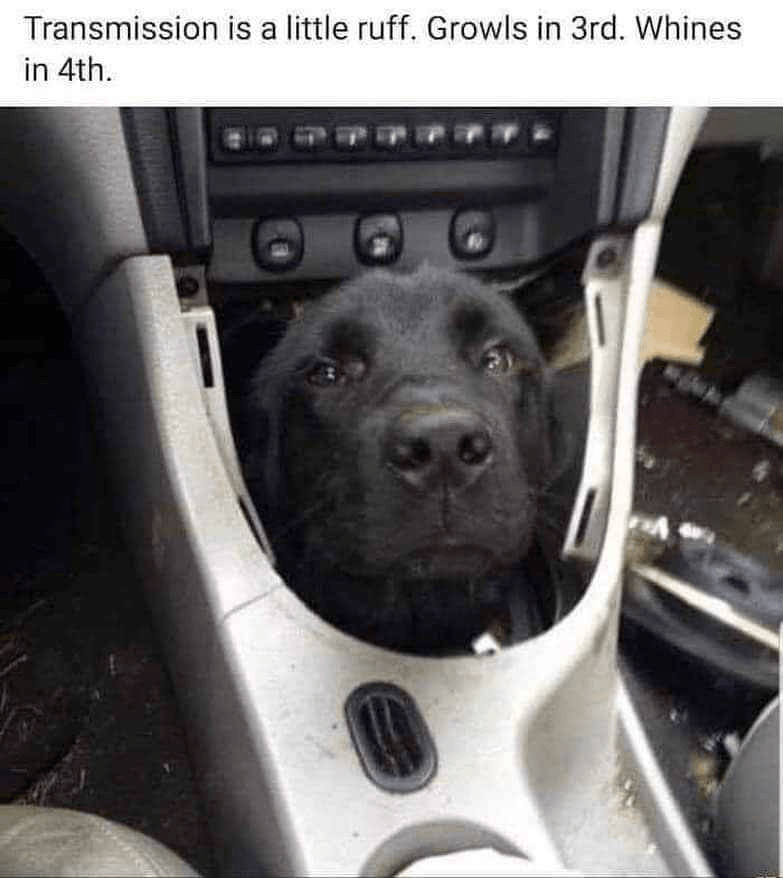 transmission-is-little-ruff-growls-3rd-whines-4th