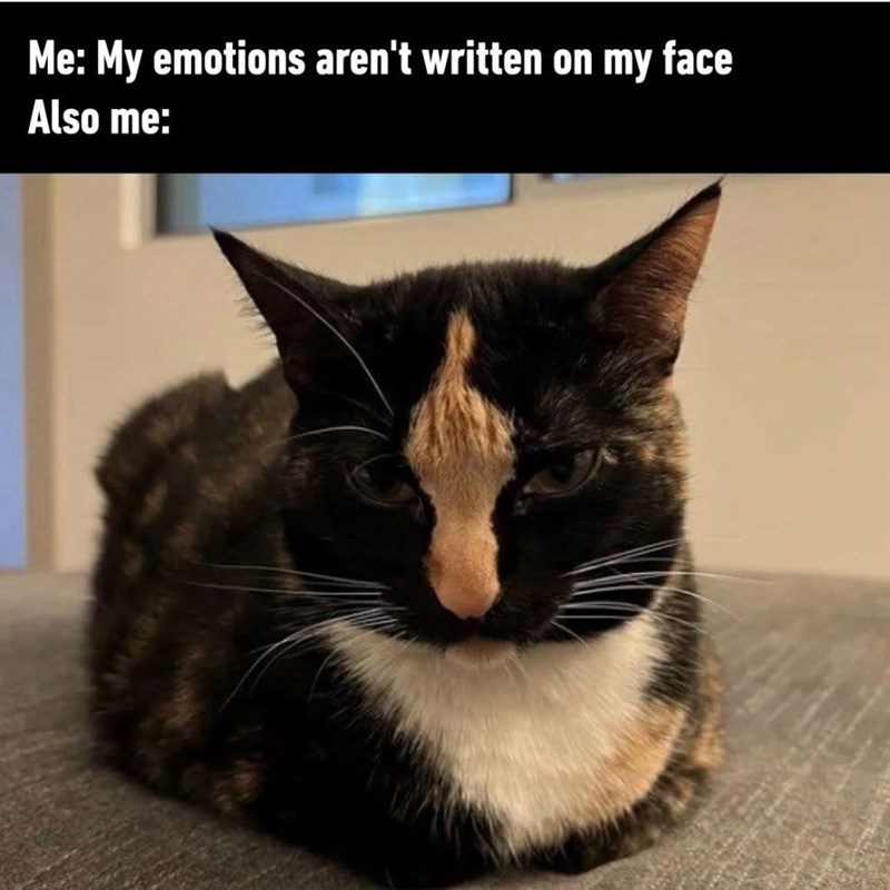 my-emotions-arent-written-on-my-face-also