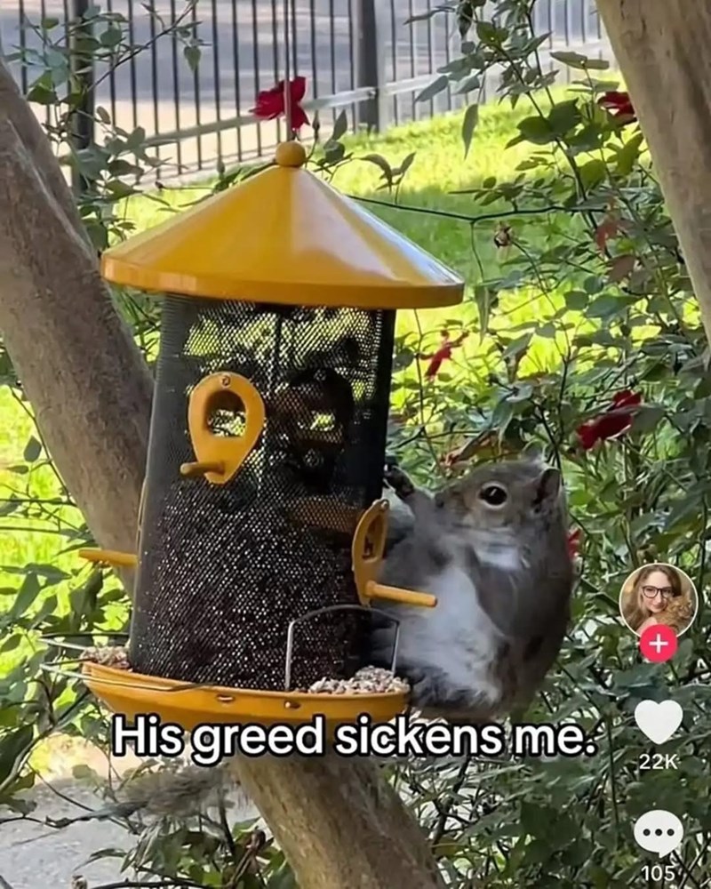 his-greed-sickens-22k-105