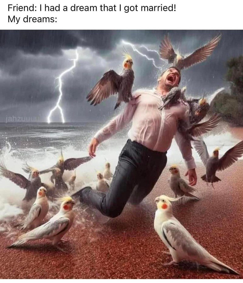 friend-had-dream-got-married-my-dreams-jahzuyu