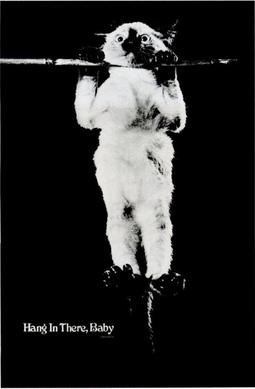 Hang_In_There_Victor_Baldwin.jpg