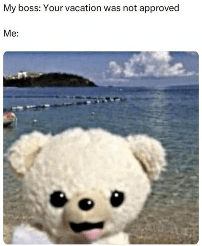 my-boss-vacation-not-approved