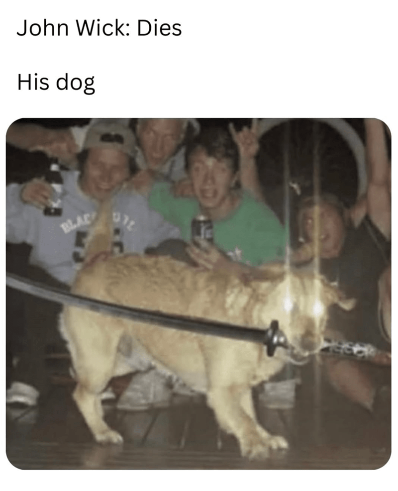 john-wick-dies-his-dog-blac