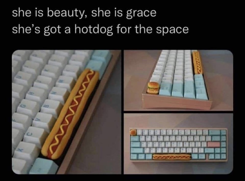 she-is-beauty-she-is-grace-shes-got-hotdog-space-b