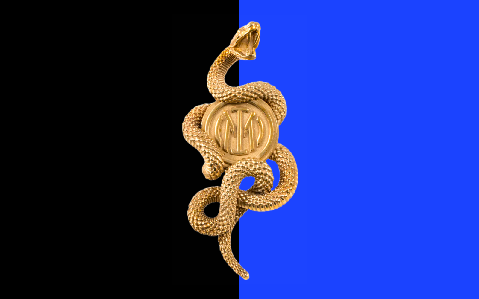 Inter-nss1.png