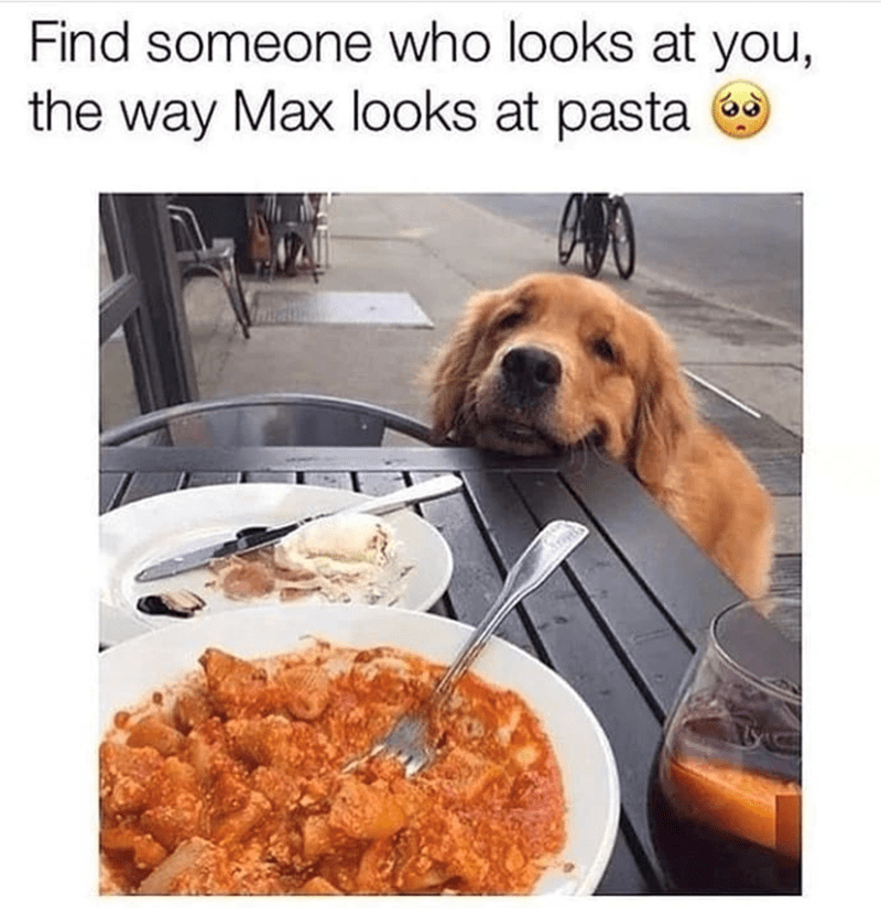 find-someone-who-looks-at-way-max-looks-at-pasta