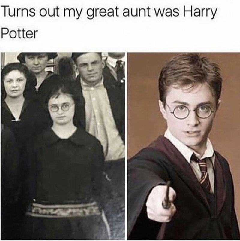 turns-out-my-great-aunt-harry-potter