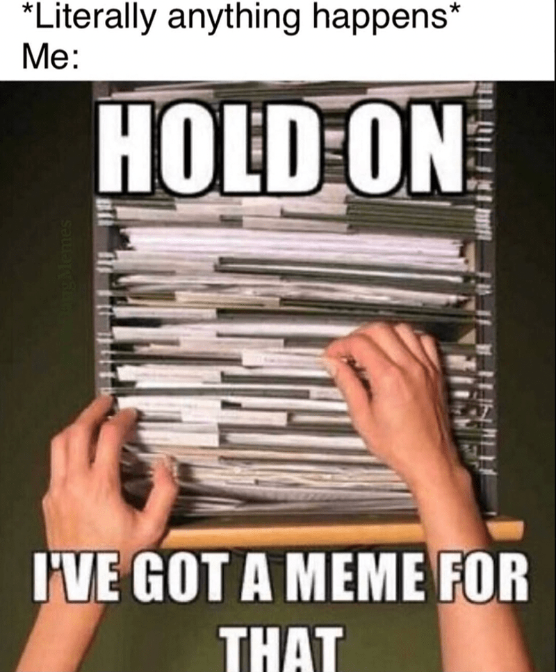 literally-anything-happens-hold-on-memes-got-meme