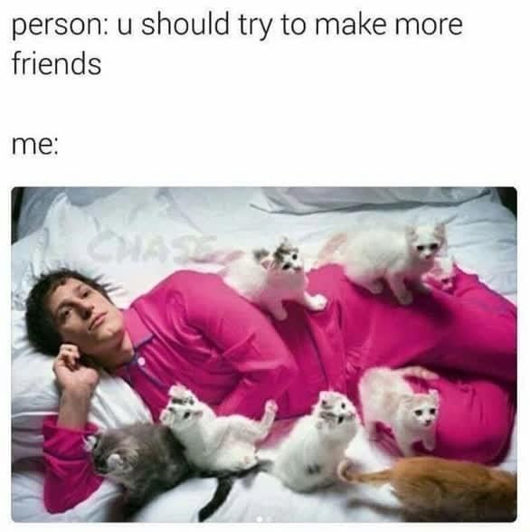 person-u-should-try-make-more-friends-chase