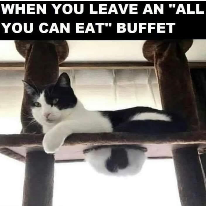 leave-an-all-can-eat-buffet