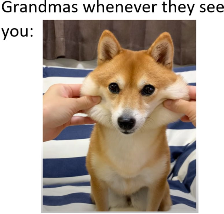 grandmas-whenever-they-see