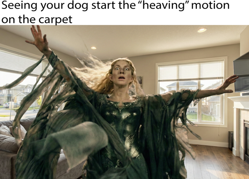 seeing-dog-start-heaving-motion-on-carpet