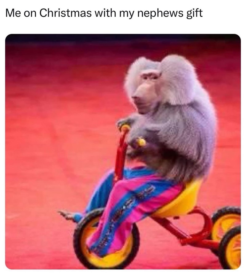 on-christmas-with-my-nephews-gift