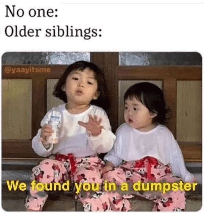 no-one-older-siblings-yaayitsme-found-dumpster