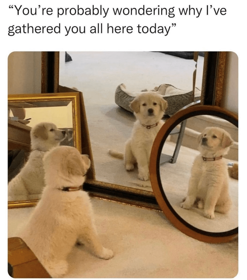 probably-wondering-why-gathered-all-here-today