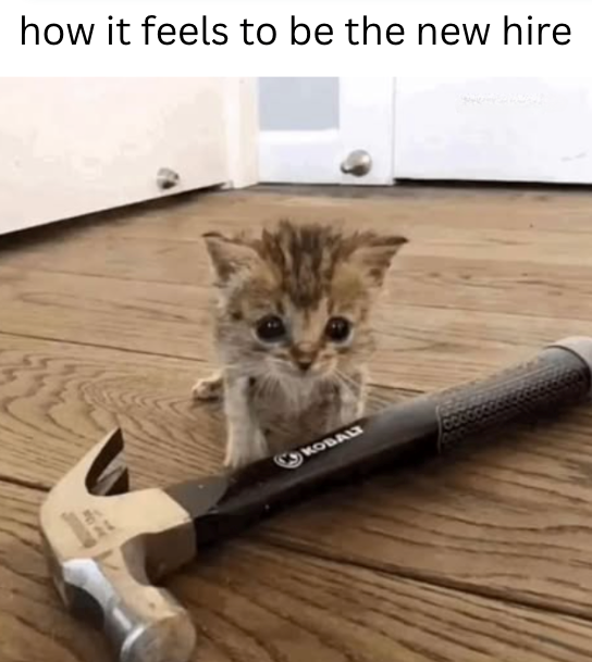 feels-be-new-hire-kobalt